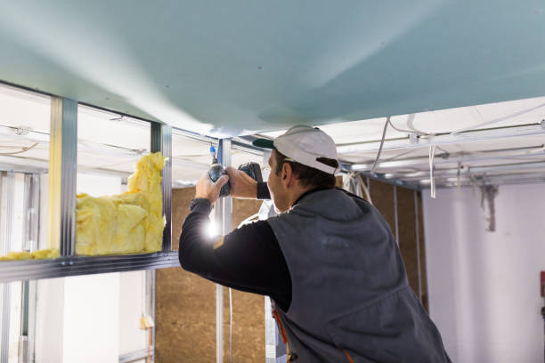 Best Insulation Maintenance and Repair in Homestead, PA