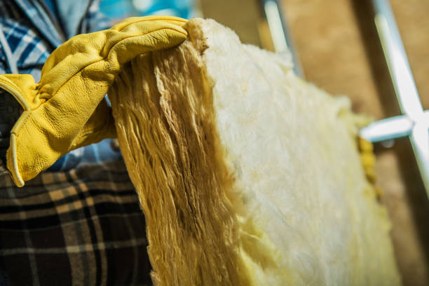 Best DIY Insulation Kits and Guidance in Homestead, PA